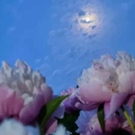 Apartment Eskici Staro Myasto