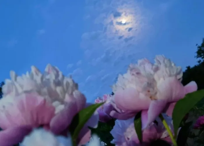 Appartamento Eskici Staro Myasto